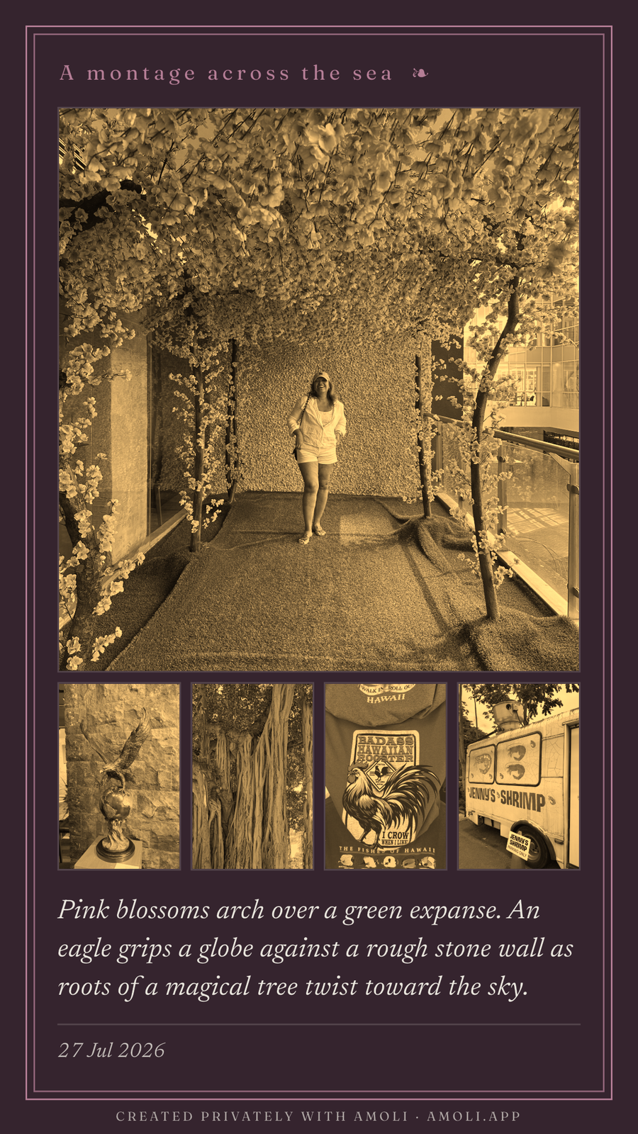 A fifth montage card.